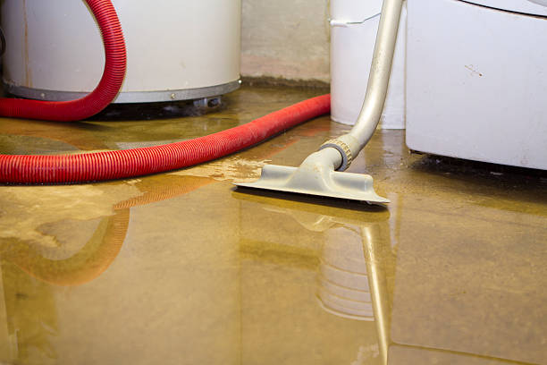 Best Flooded house restoration  in Brandywine, MD